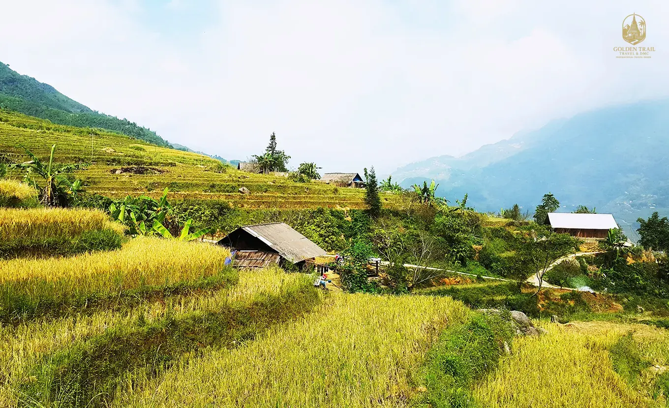 Vietnam's Northern Gems: A 7-Day Journey Through City, Highlands & Sea